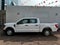 2023 Ford F-150 4P XL CREW CAB 4X2 V63.3 AUT