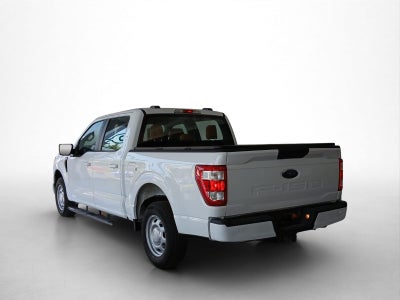 2023 Ford F-150 2P XL CAB. REGULAR 4X2 V63.3 AUT