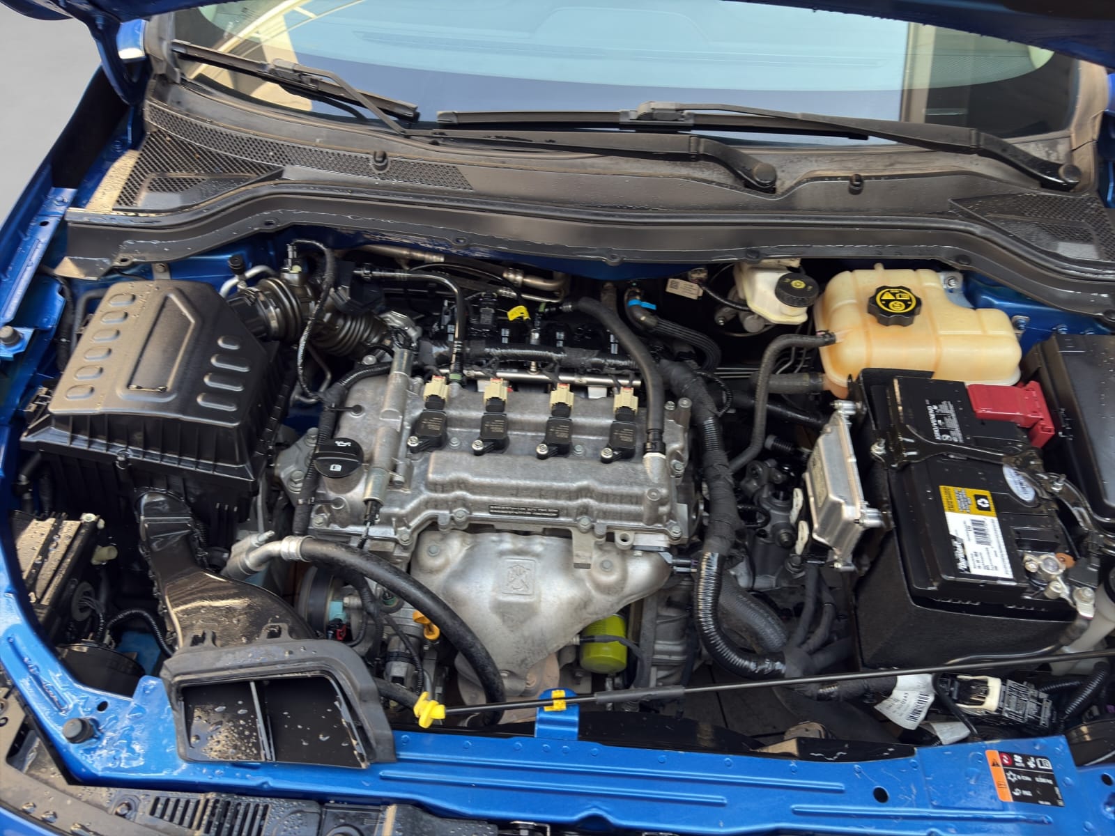 2019 Chevrolet CAVALIER 4 PTS LS 15L TA AAC VE R-15